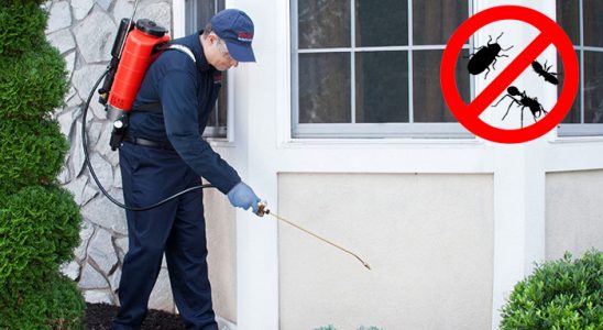 Cide Gümüşkurt İlaçlama böcek ilaçlama ve haşere kontrolü — ilaclama-tr.com